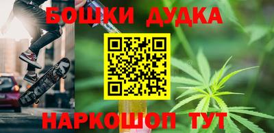 индика Обь