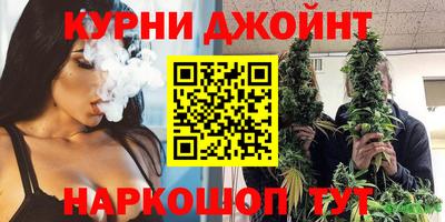 индика Обь