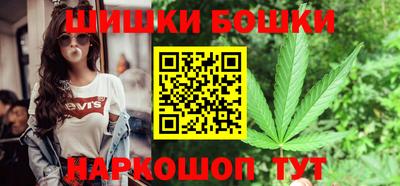 индика Обь